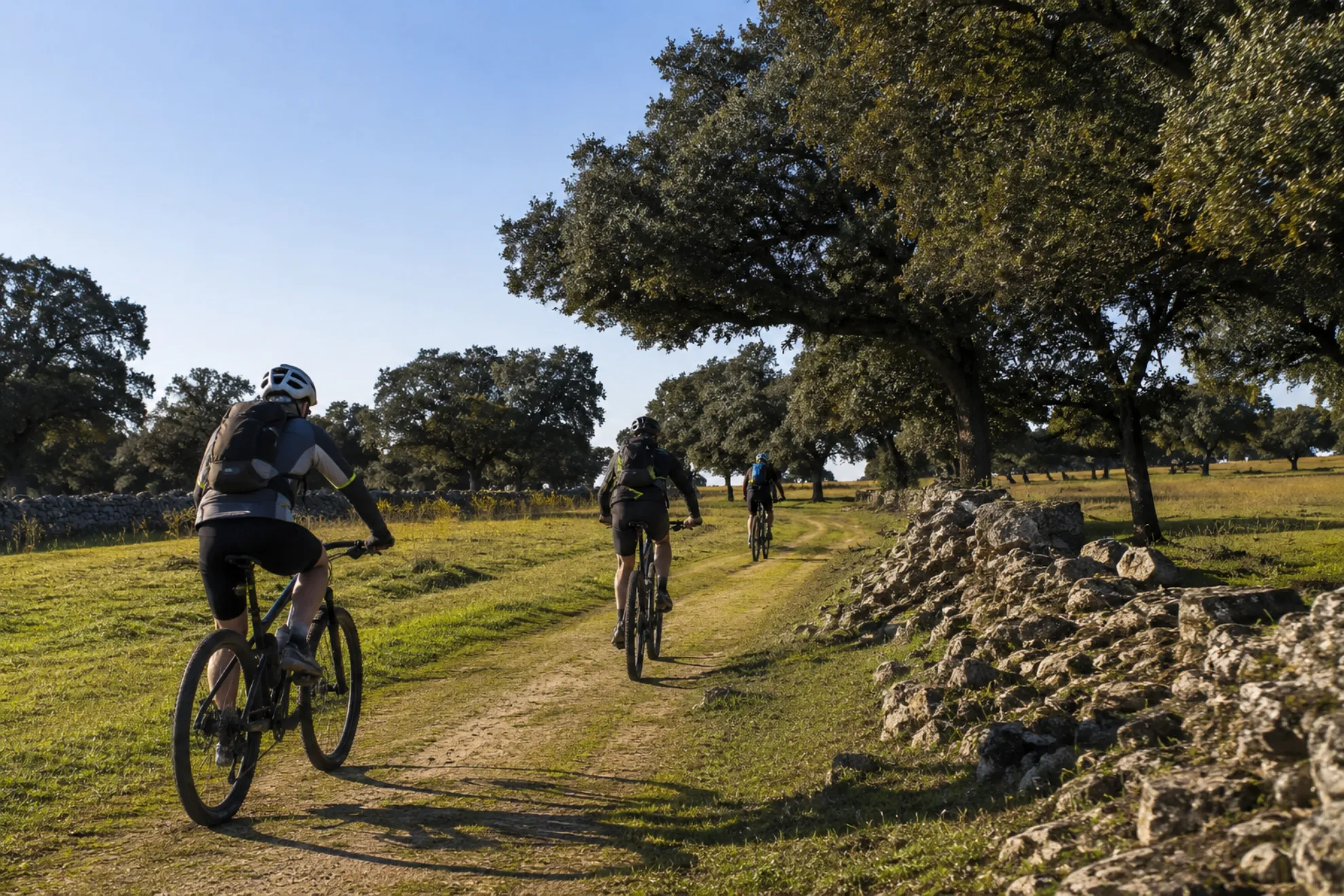 Los Pedroches A golpe de Pedal