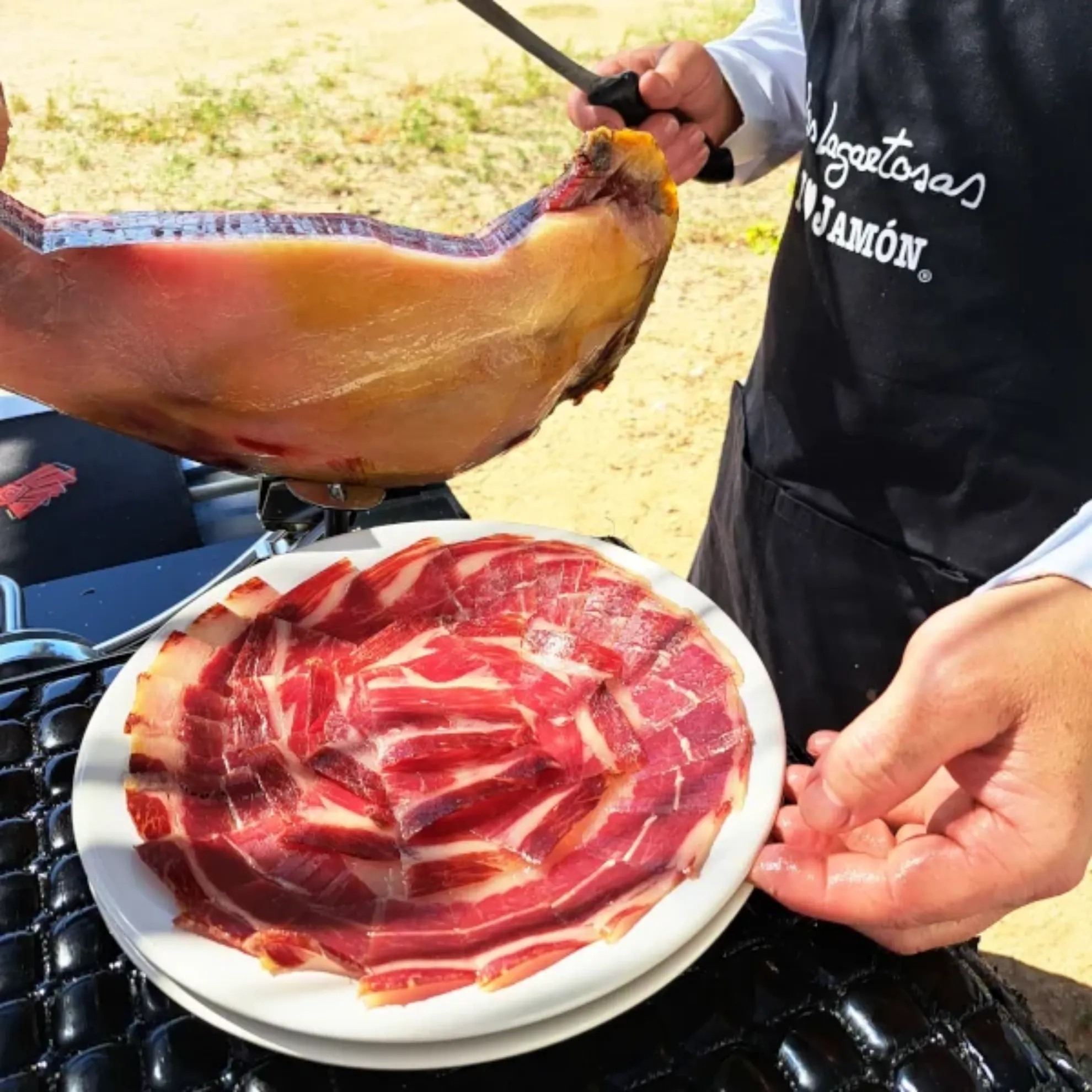 Vivir la dehesa