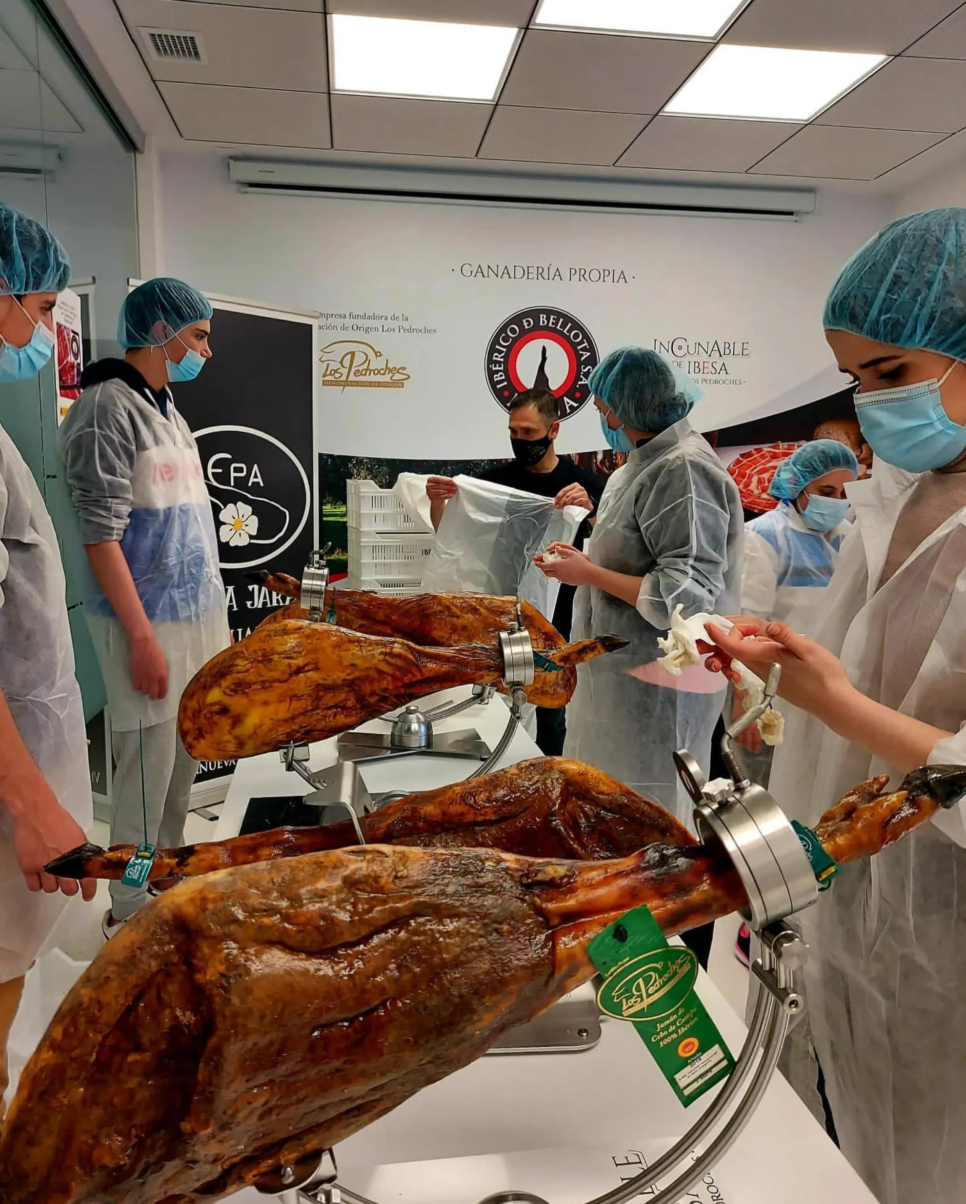 Conocimiento profundo de las partes del jamón