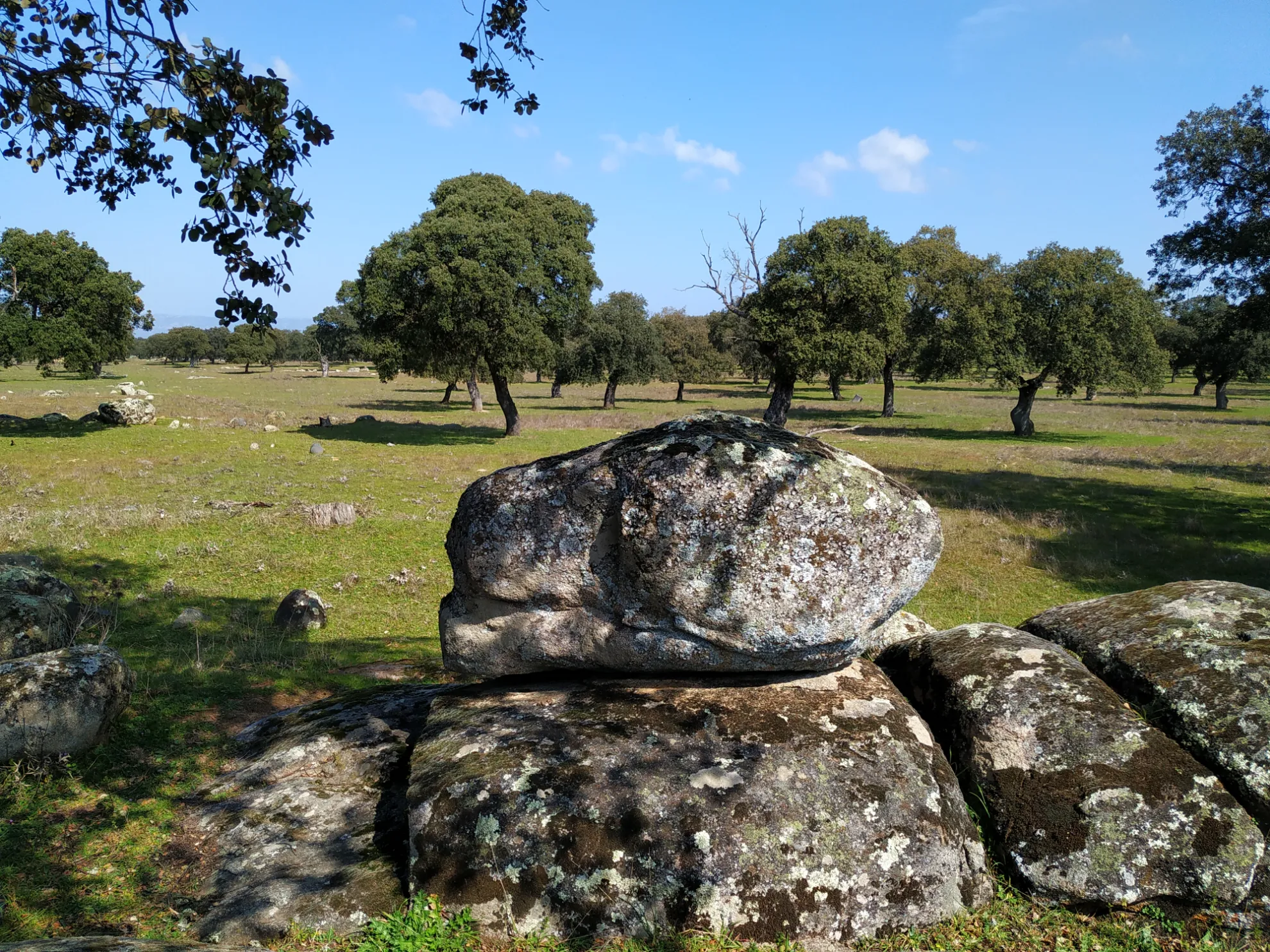 Interior de la bodega de Era Alta