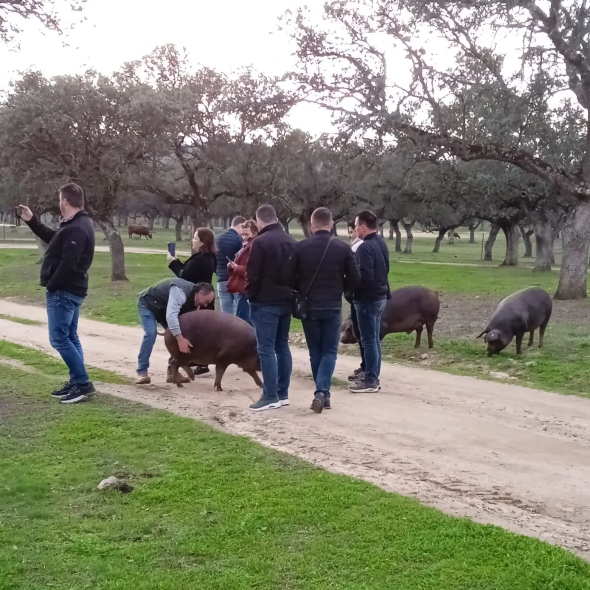 Recorrido por la finca Las Lagartosas