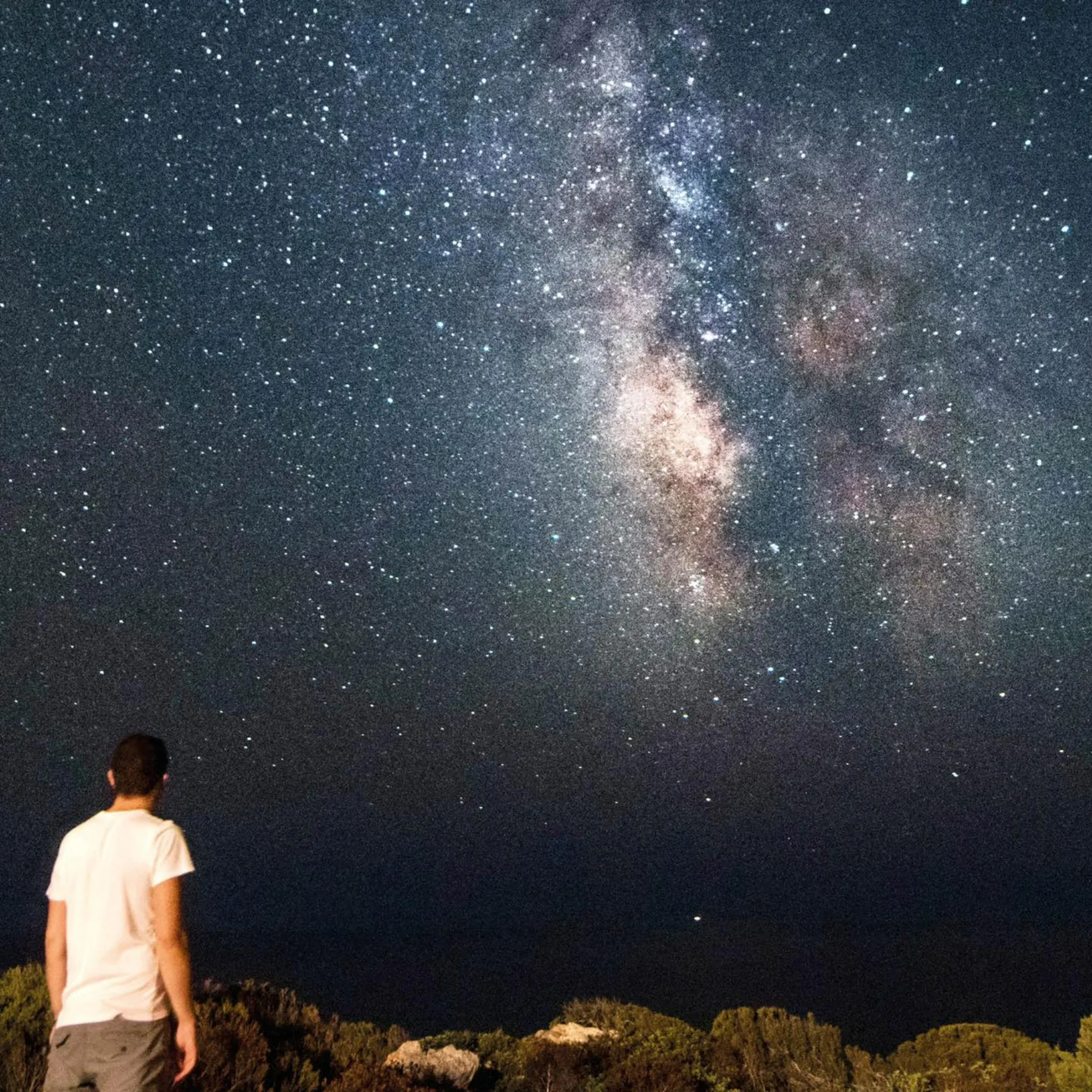 Cena ibérica al aire libre bajo el encinar