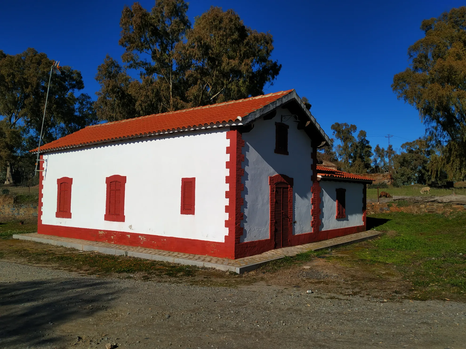 Dehesa y naturaleza viva