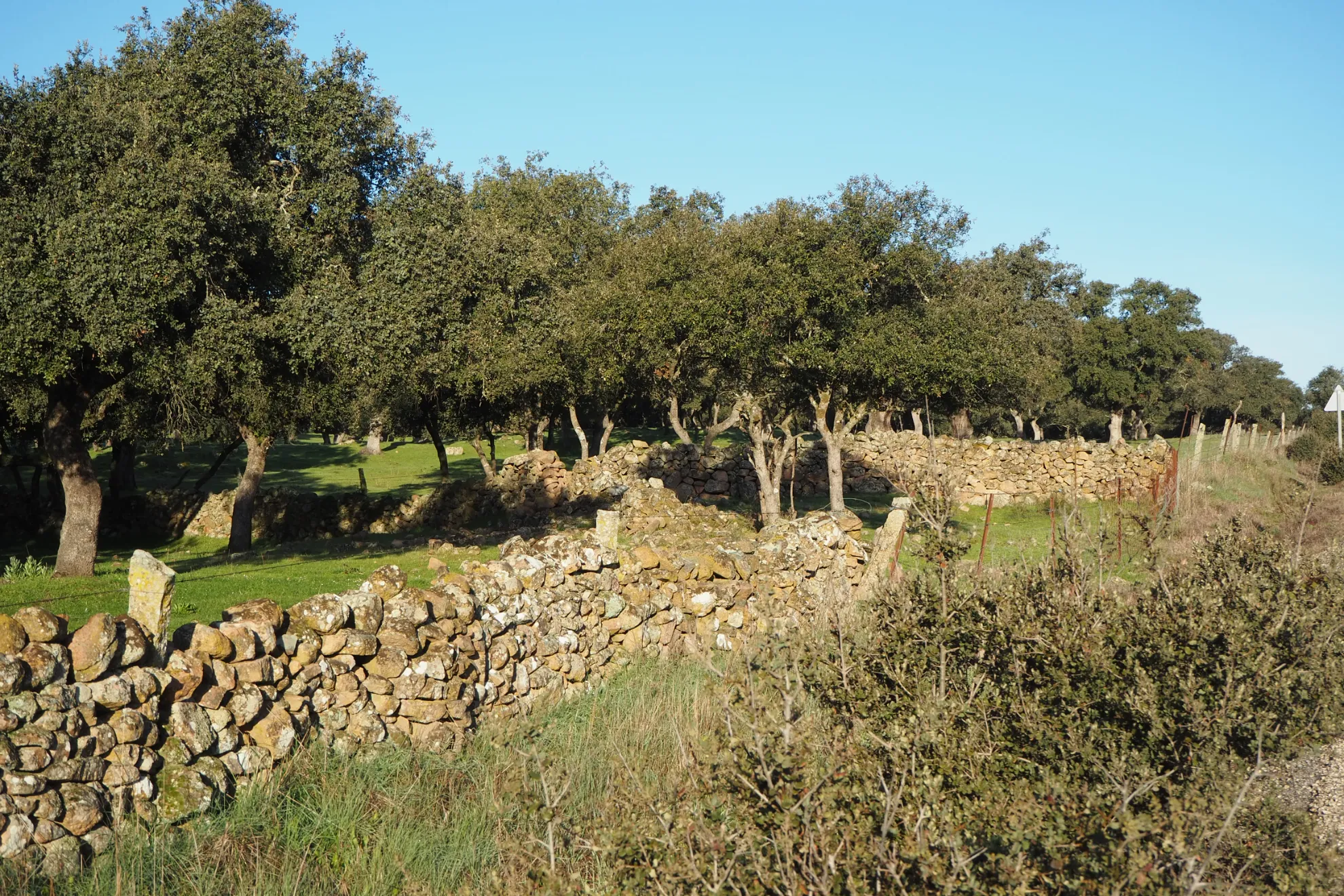 Visita a los secaderos D.O.P. Los Pedroches