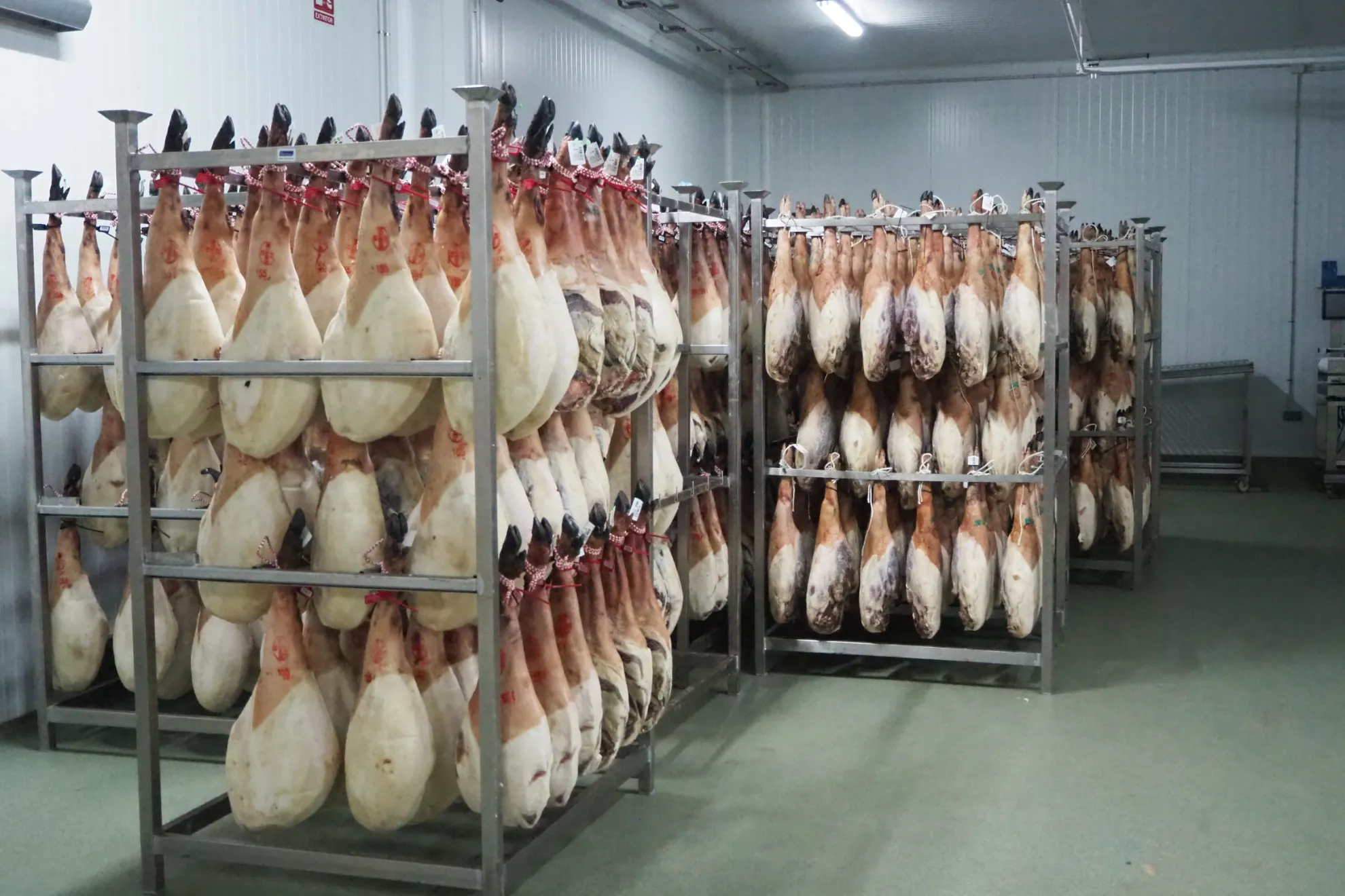 Visita a la bodega