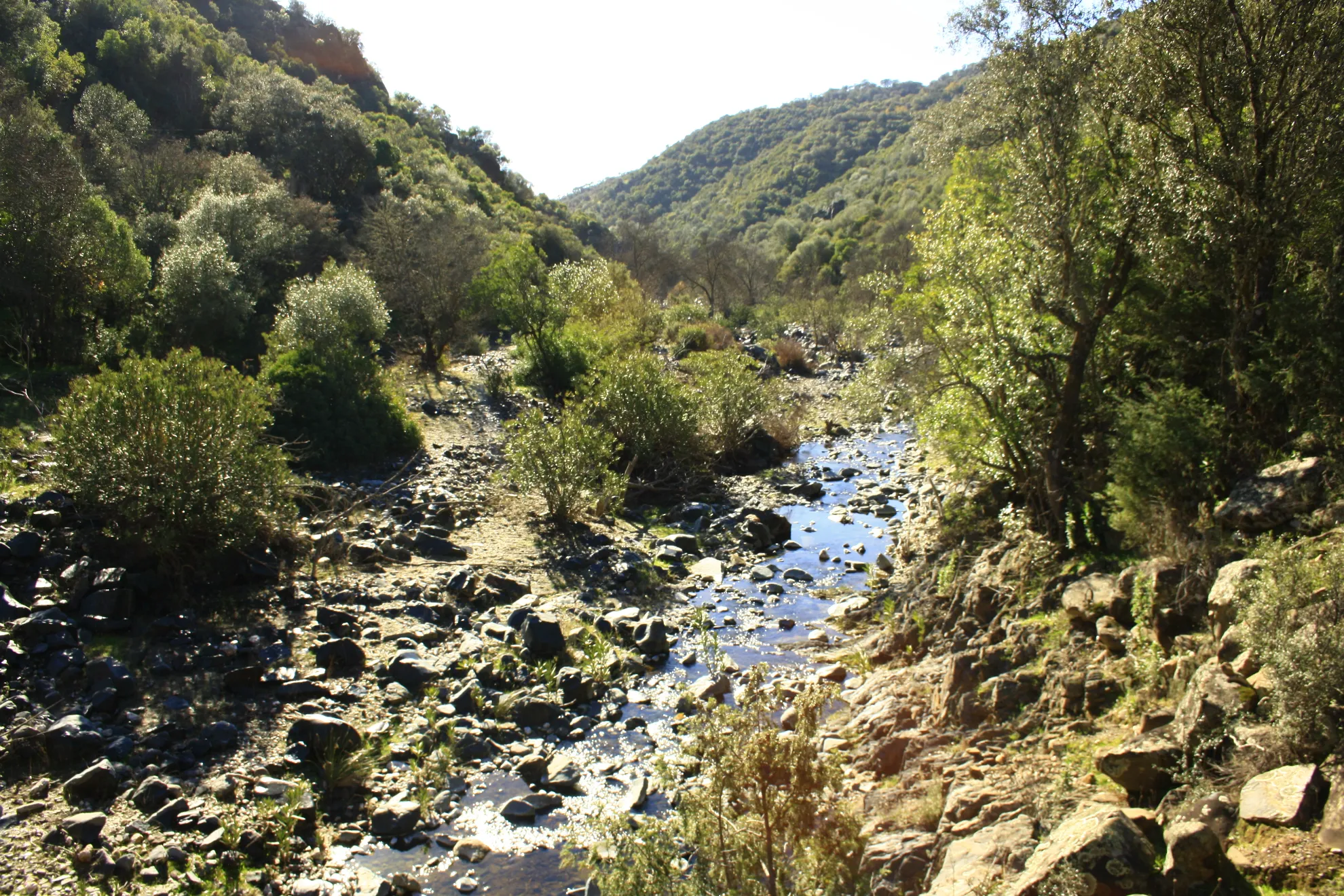 Los Pedroches el placer de caminar