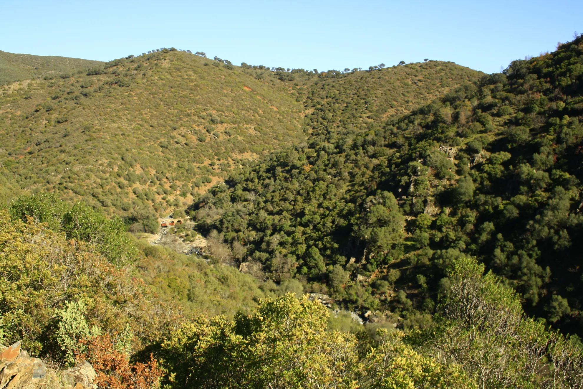 Los Pedroches el placer de caminar