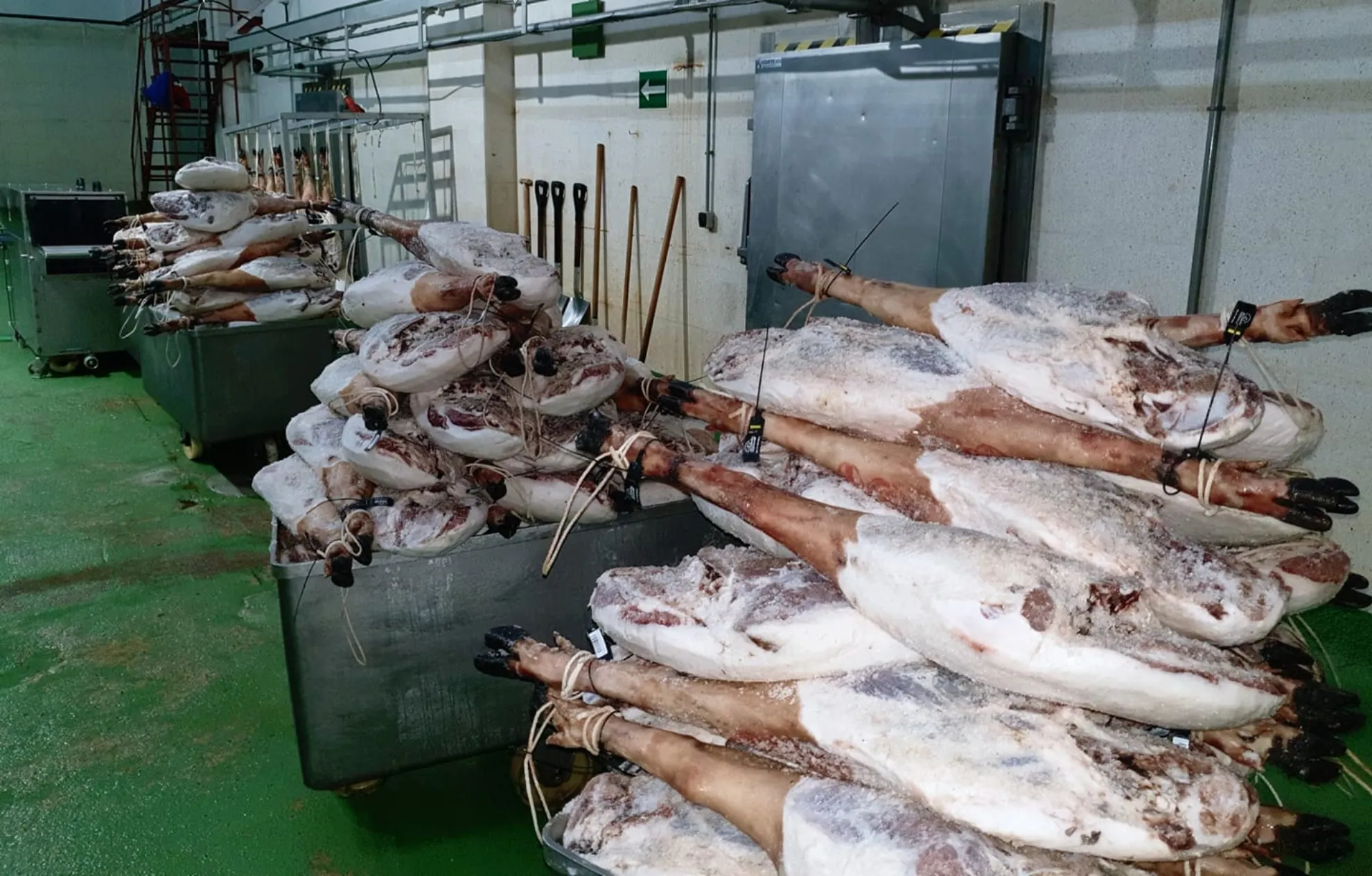 Degustación de jamón 100% ibérico
