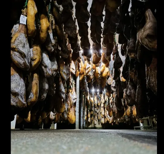 Degustación de jamón 100% ibérico
